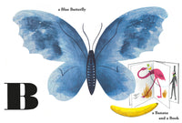 Bruno Munari's ABC