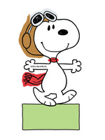 Peanuts Snoopy Hugs Notecards