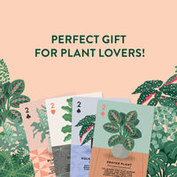 Houseplants Playing Cards