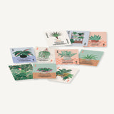Houseplants Playing Cards example card faces