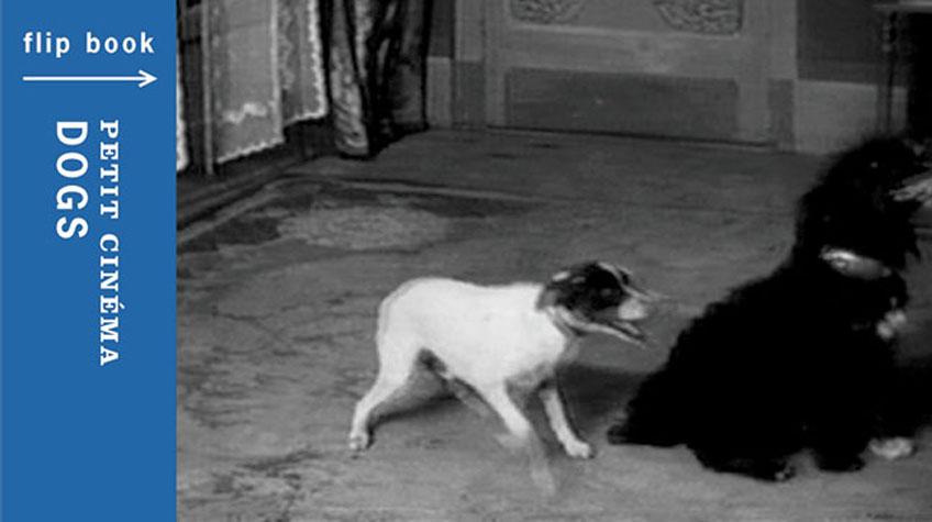 Petit Cinema: Dogs