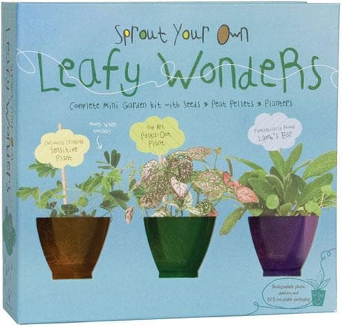 Sprout Your Own Leafy Wonders