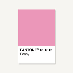 Pantone Postcard Box: 15-1816 Peony postcard