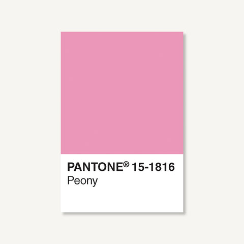 Pantone: 100 Postcards | Chronicle Books