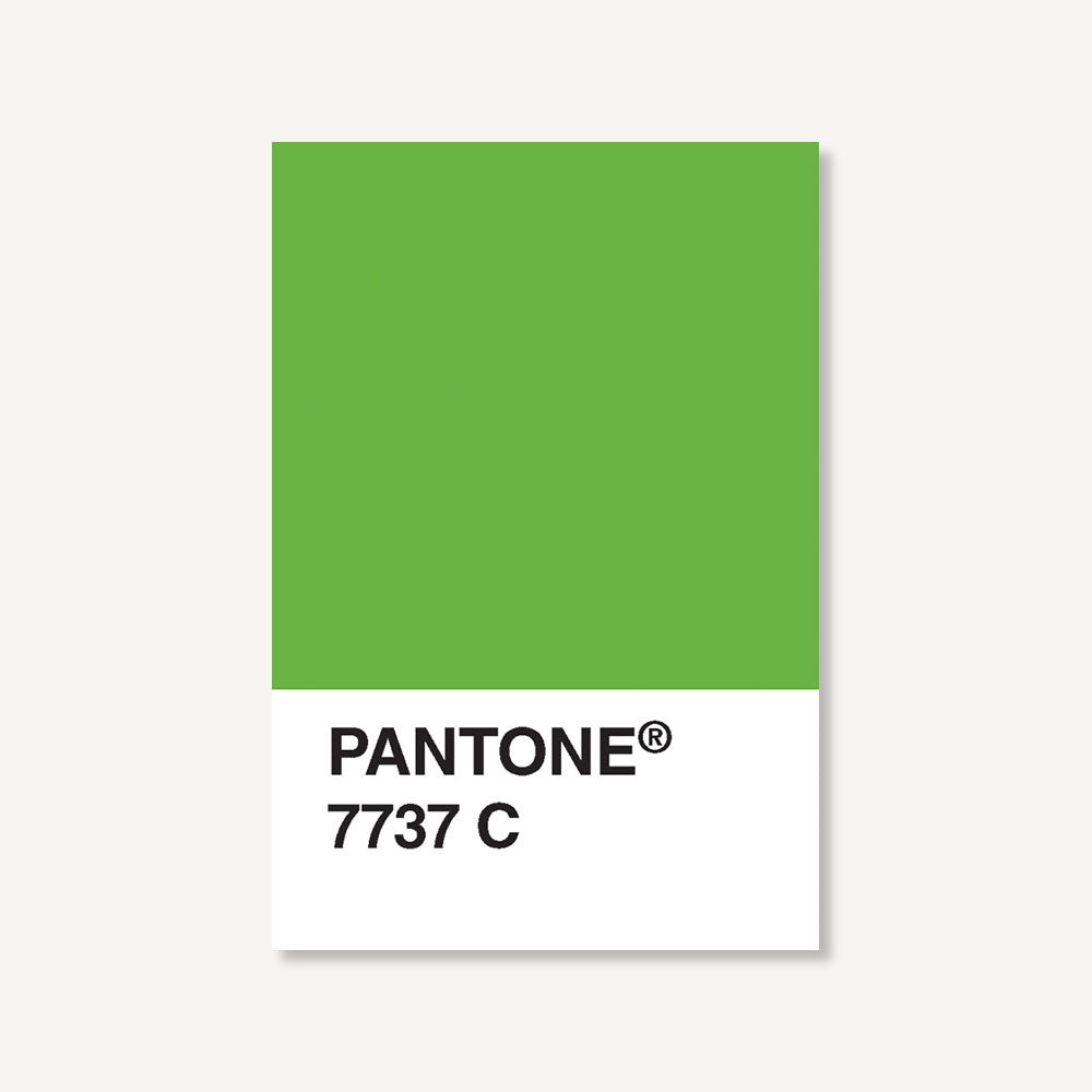 Pantone Postcard Box Set (100 Postcards) (Card Stock)