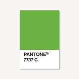 Pantone Postcard Box: 7737 C postcard