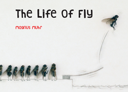 Life of Fly - Chronicle Books