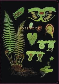 Intruction Notebook The Art of Instruction: Notebook Collection | Chronicle Books