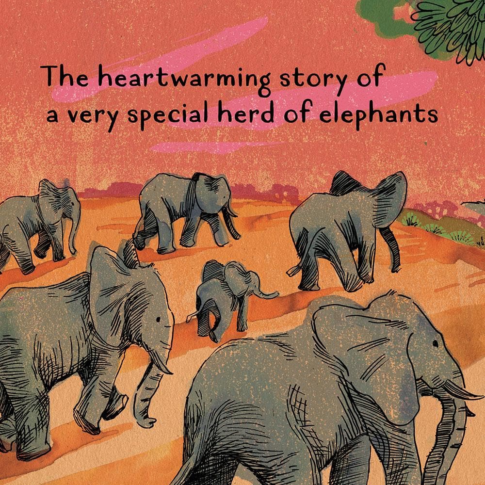 The heartwarming story of a very special herd of elephants