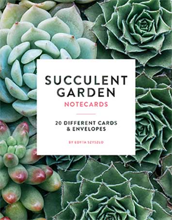 succulent garden double sided puzzle Succulent Garden Notecards: 20 Different Cards & Envelopes