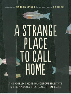 A Strange Place to Call Home - Paperback