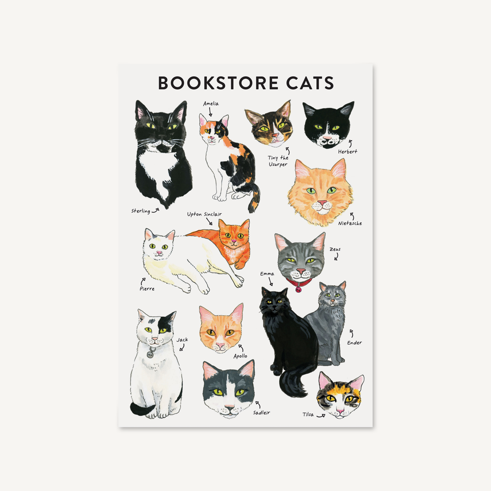 Paws and Pages: Exploring the World of Cat Books