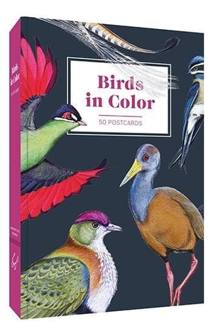 Birds in Color 50 Postcards