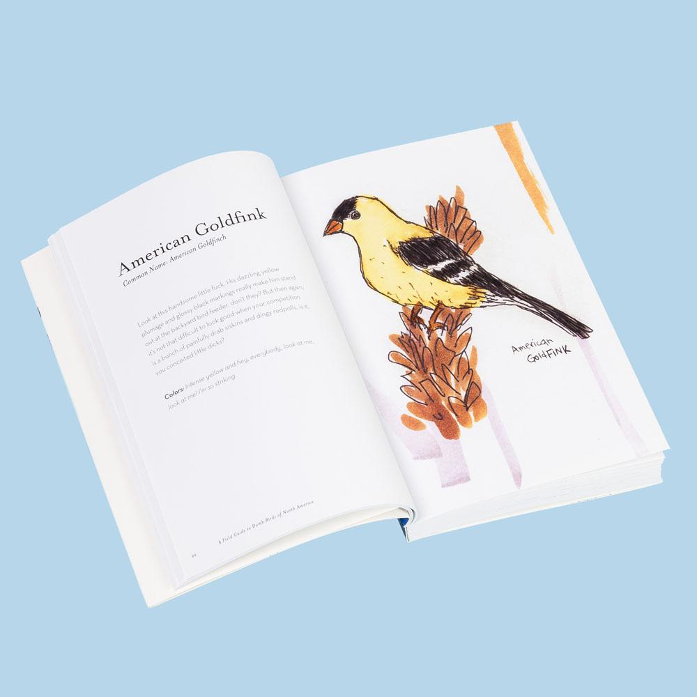 The Field Guide to Dumb Birds of North America interior