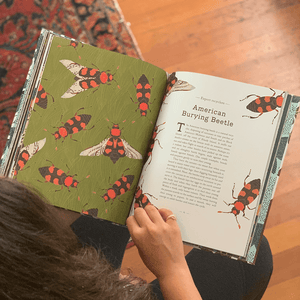 A Wild Child's Guide to Endangered Animals: American Burying Beetle