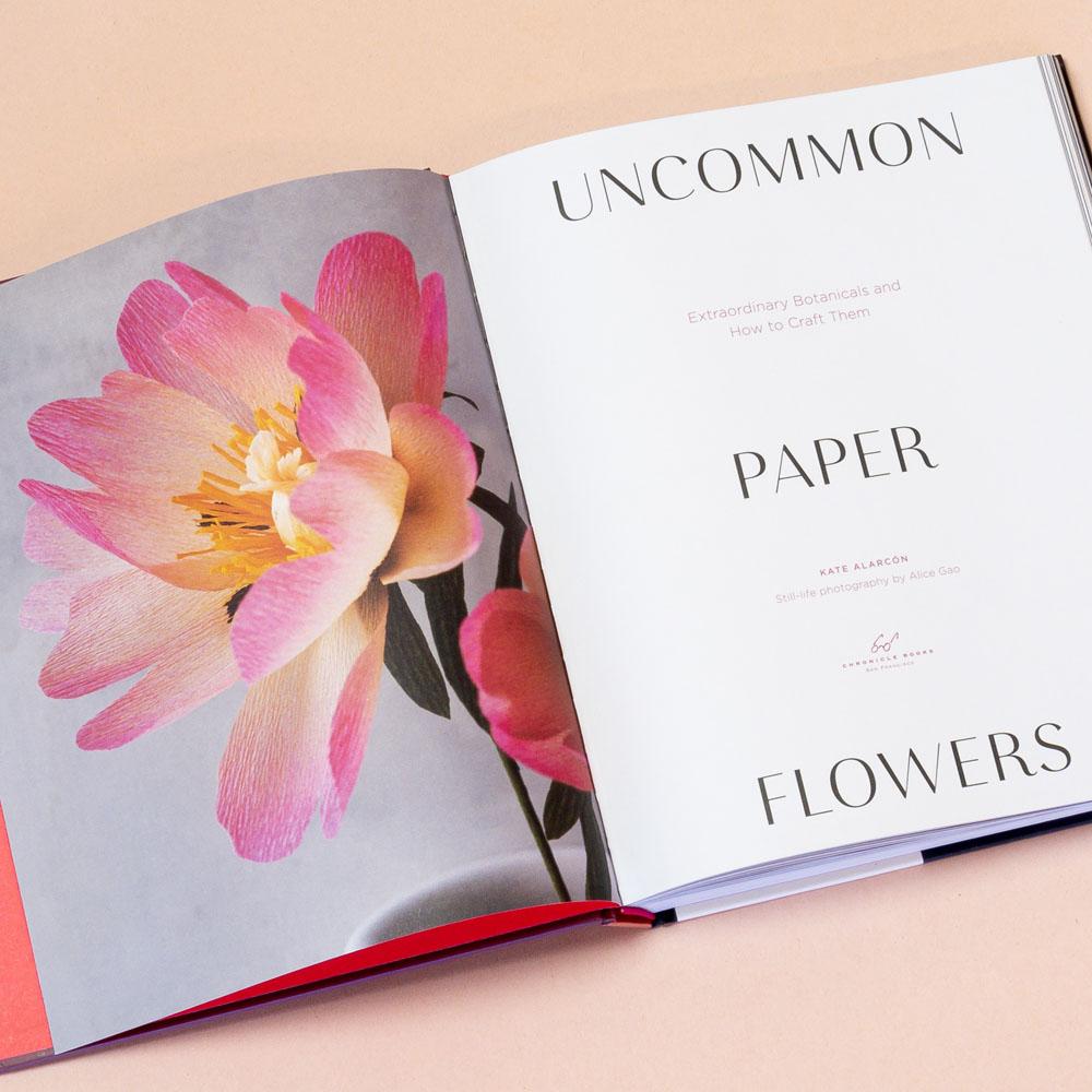 Uncommon Paper Flowers interior