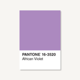 Pantone 16-3520 African Violet Postcard