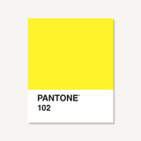 Pantone Notes: Brights, Pantone 102 Notecard