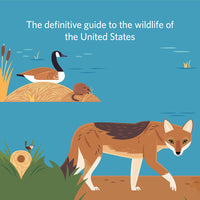 Wilds of the United States