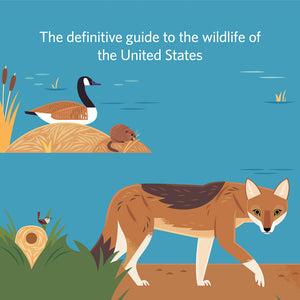 The definitive guide to the wildlife of the United States