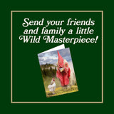 Send you friends and family a little Wild Masterpiece!