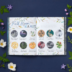 How to Be a Moonflower interior