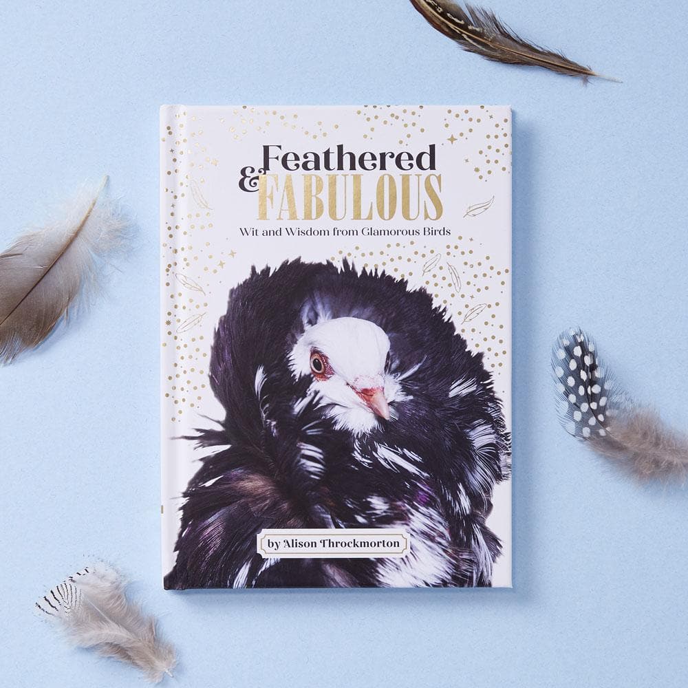 Feathered & Fabulous cover with feathers on blue background