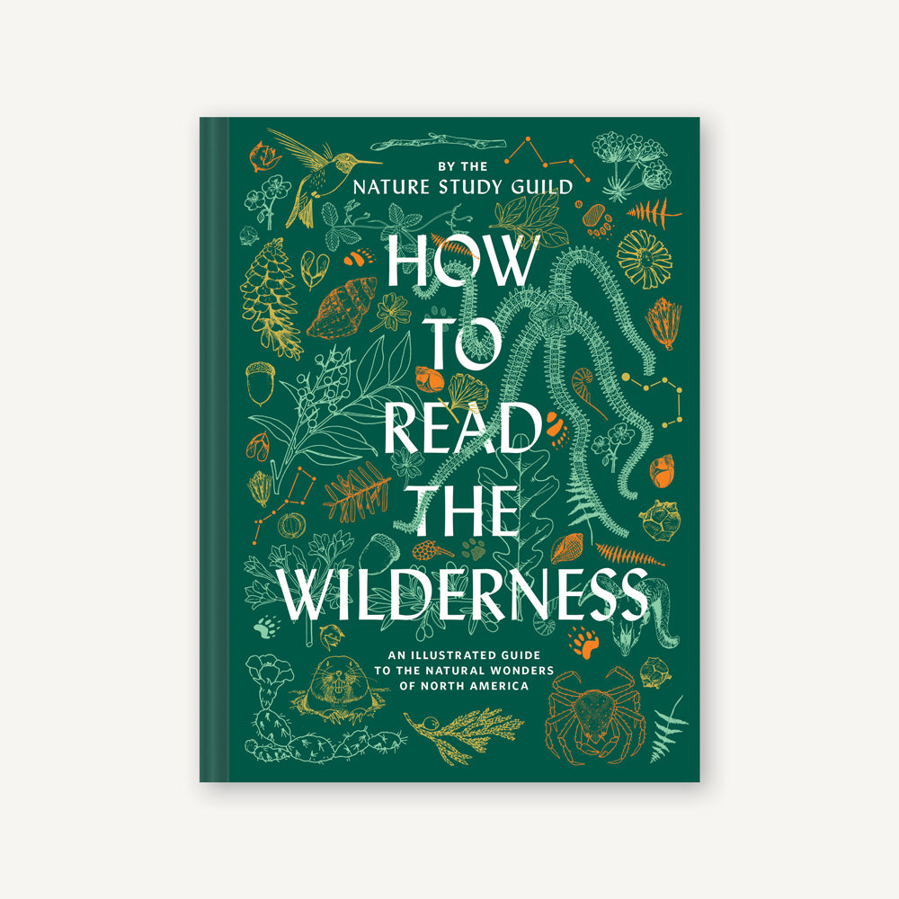 How to Read the Wilderness Chronicle Books Adult Picture