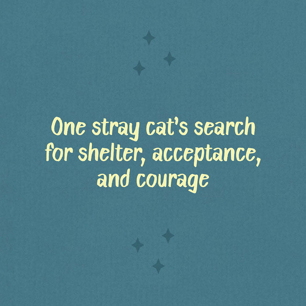 One stray cat's search for shelter, acceptance and courage