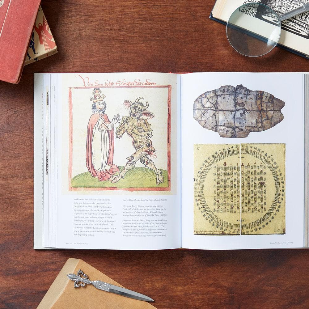 Masterman Library The Madman's Library | Chronicle Books
