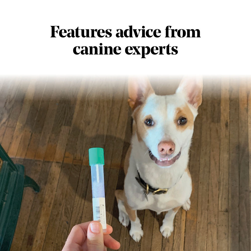 Features advice from canine experts
