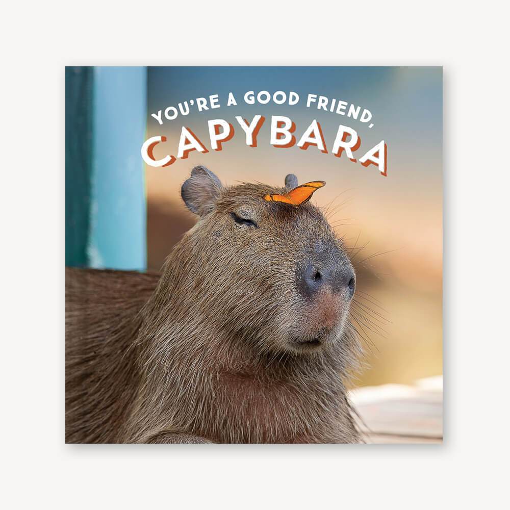 You're a Good Friend, Capybara