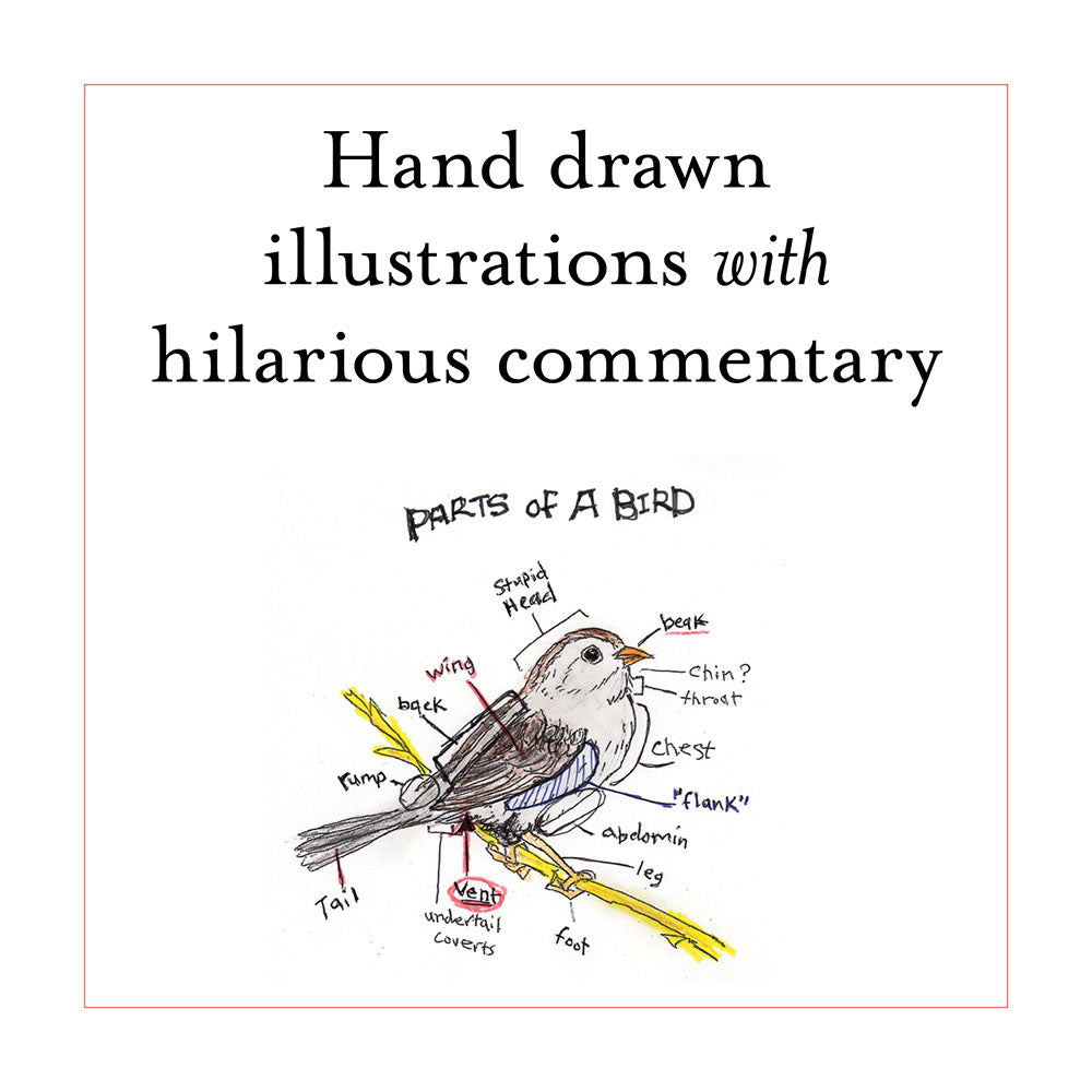 Hand drawn illustrations with hilarious commentary
