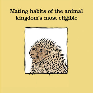 Mating habits of the animal kingdom's most eligible