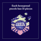 Each hexagonal puzzle has 51 pieces