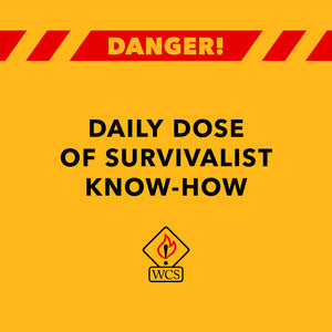 Daily dose of survivalist know-how