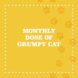 Monthly dose of Grumpy Cat