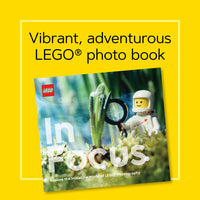 LEGO In Focus