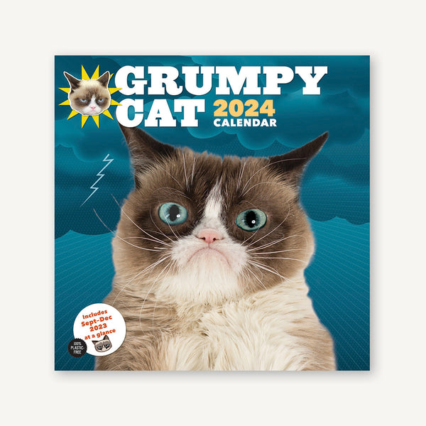 2024 Angry Cat Calendar, Angry Cat Wall Calendar, Funny Wall Art