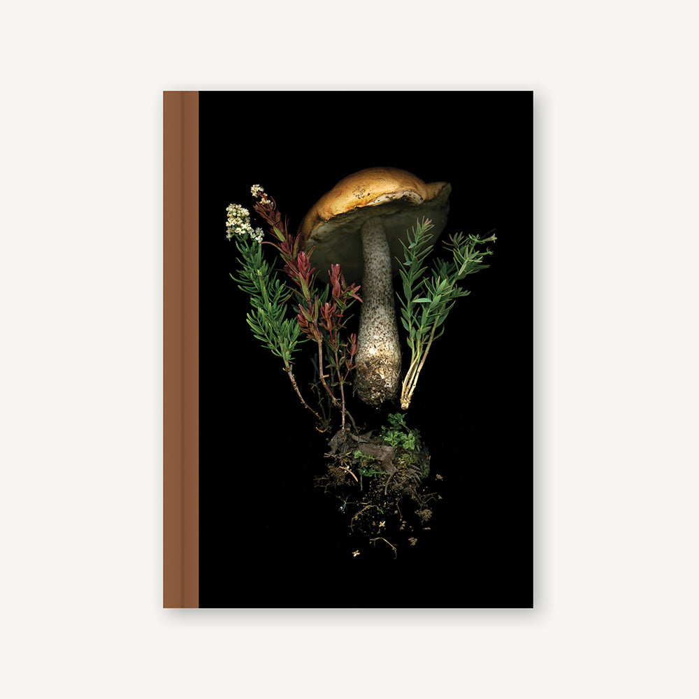 Deep Dark Forest Mushroom Journal – Chronicle Books